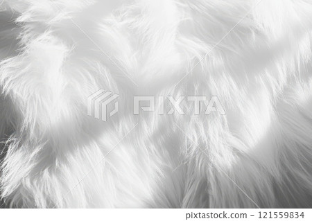 A close up of a fluffy white fur, possibly from a sheep or a cat. The fur is long and soft, giving the impression of warmth and comfort A close up of a fluffy white fur, possibly from a sheep or a cat. The fur is long and soft, giving the impression of warmth and comfort 121559834