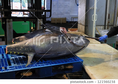 鮪魚工匠正在宰殺生藍鰭鮪魚 121560238