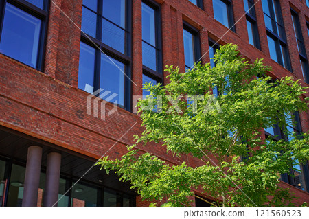 Modern red brick building with green tree in Copenhagen 121560523