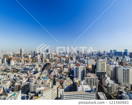 東京晴空塔及文京區、台東區週邊 121560981