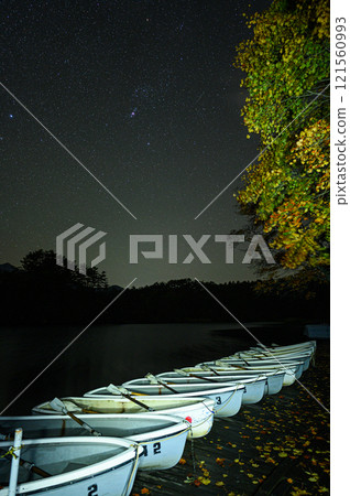 Looking up at the starry sky from the lakeside at Goshikinuma 121560993
