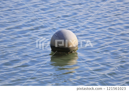Buoy floating on the water Buoy floating on the water 121561023