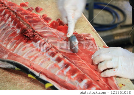 藍鰭鮪魚的中秋 - 中秋的晴朗 121561038