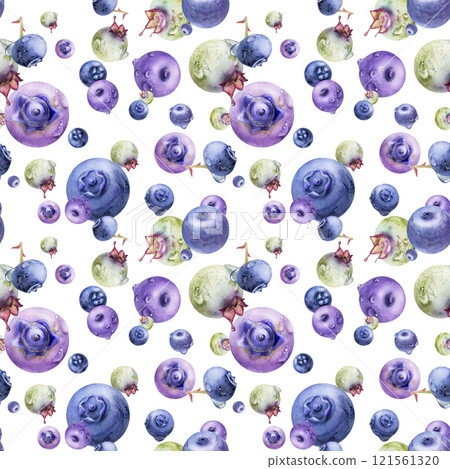 Blueberry blackberry, hand drawn in watercolor, group of flying ripe forest berry with drops, blue and purple. Seamless pattern illustration isolated on white. Restaurant, cafe menu, farmers market 121561320
