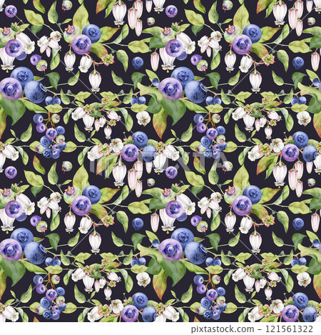 Blackberry blueberry, white bell flowers, green leaves, hand drawn in watercolor, forest berry on branches. Seamless pattern garland isolated illustration. Scrapbooking paper, menu, farmers market. 121561322