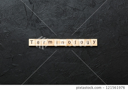 terminology word written on wood block. terminology text on table, concept 121561976