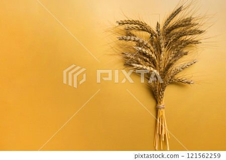 Sheaf of wheat ears close up and seeds on colored background. Natural cereal plant, harvest time concept. Top view, flat lay with copy space. world wheat crisis 121562259