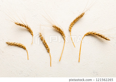 Sheaf of wheat ears close up and seeds on colored background. Natural cereal plant, harvest time concept. Top view, flat lay. world wheat crisis Sheaf of wheat ears close up and seeds on colored background. Natural cereal plant, harvest time concept. Top view, flat lay. world wheat crisis 121562265