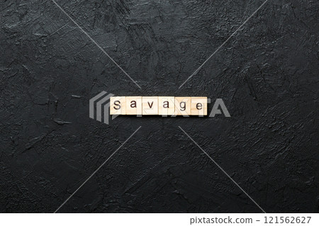 SAVAGE word written on wood block. SAVAGE text on cement table for your desing, concept SAVAGE word written on wood block. SAVAGE text on cement table for your desing, concept 121562627