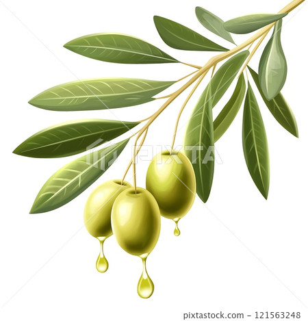 Olive Branch with Dripping Oil 121563248