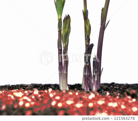 氣候危機形象 - 脫碳社會 - SDGs - 全球共同挑戰 121563278