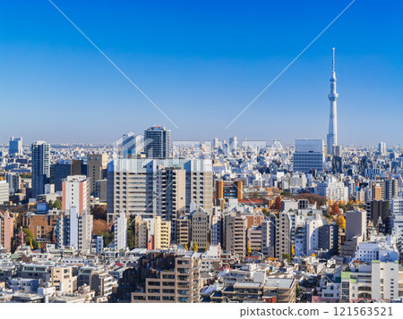 Tokyo Sky Tree and around Bunkyo Ward and Taito Ward 121563521