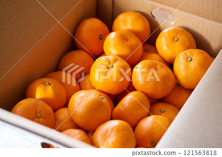 Box of mandarins (4 kilograms) 121563818