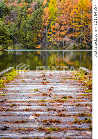 Lake Shirakaba in autumn [Hijiri Plateau] 121564057