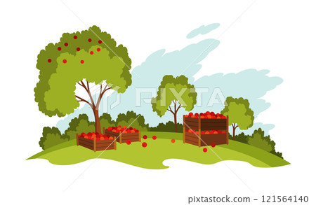 Apple farm landscape. Agriculture field, rural nature scene. Ruralfield panorama growing apples 121564140