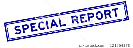 Grunge blue special report word square rubber stamp in white background Grunge blue special report word square rubber stamp in white background 121564378