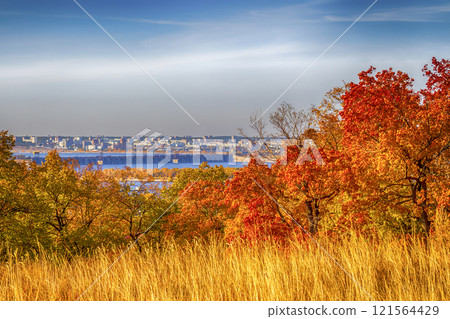 City in the background of the forest City in the background of the forest 121564429