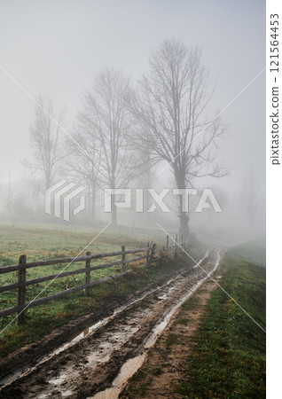 Grassy hills with road path trail, wooden fence and misty trees surrounded by dense fog 121564453