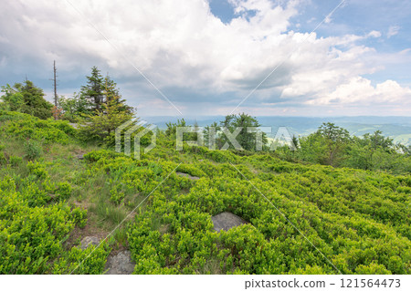 carpathian mountain landscape in summer. green environment of watershed ridge. view in to the distant valley. cloudy sky above horizon. alpine meadow on the hill. scenic outdoor background carpathian mountain landscape in summer. green environment of watershed ridge. view in to the distant valley. cloudy sky above horizon. alpine meadow on the hill. scenic outdoor background 121564473