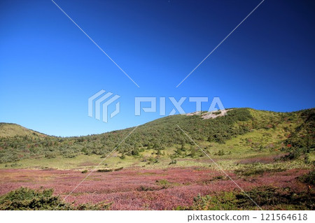 任何山 任何山 121564618