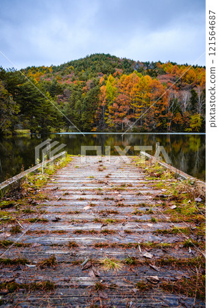 秋天的白樺湖【神聖高原】 121564687