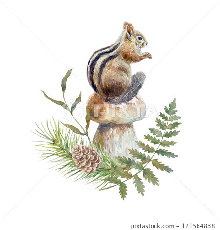 Chipmunk sitting on a mushroom, fern, spruce branch. Watercolor illustration isolated. Cards, invitations, posters, nature, wild animal protection day 121564838