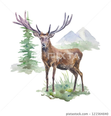 Deer with antlers on the background of mountains and fir tree. Watercolor illustration isolated. Cards, banners, posters, nature and wild animals day. 121564840