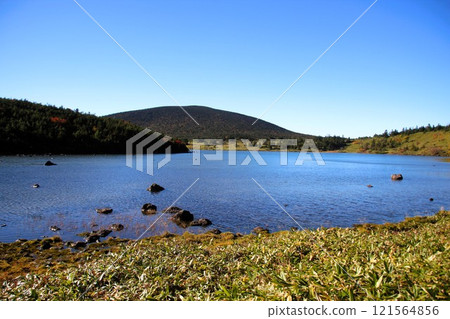 Kamanuma Kamanuma 121564856