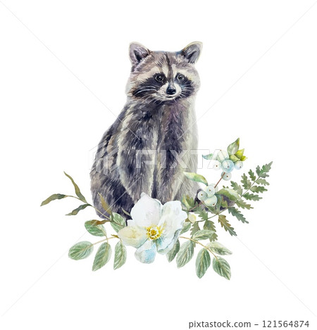 Raccoon sitting with bouquet of white flower, green leaves, fern. Watercolor illustration isolated. For greeting cards, invitations, banners, posters. Raccoon sitting with bouquet of white flower, green leaves, fern. Watercolor illustration isolated. For greeting cards, invitations, banners, posters. 121564874