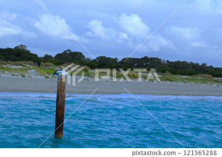 Australian ocean and pelicans 121565288