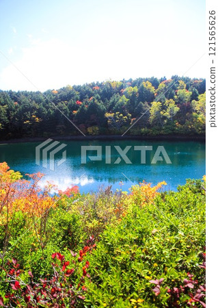 天溝沼澤 121565626