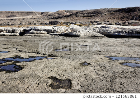 Rocky shore of the Caspian Sea. 121565861
