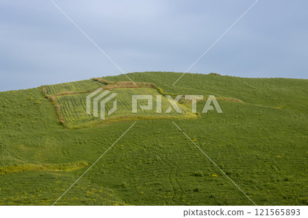 Green fields in the centre of island, Sicily, Italy Green fields in the centre of island, Sicily, Italy 121565893