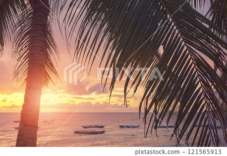 Coconut palm tree silhouette at sunrise, selective focus, Philippines. 121565913