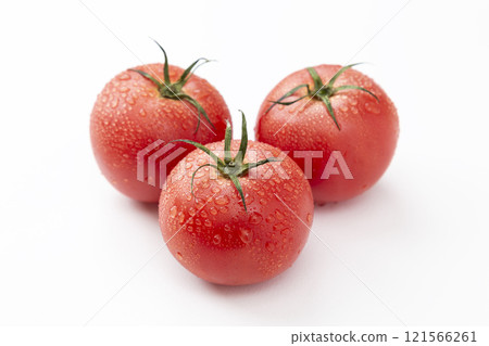 Fresh tomatoes on white background 121566261