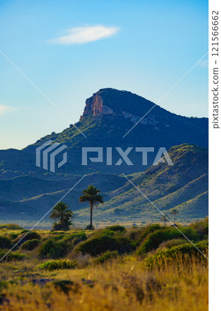 Coast landscape in Murcia Spain 121566662