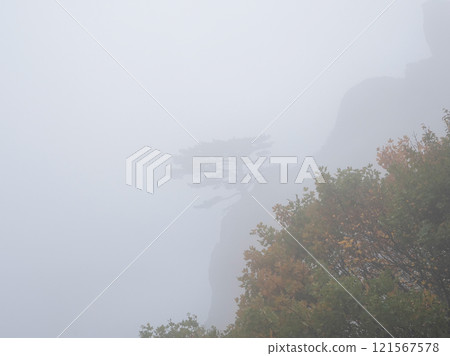 Foggy view at the mountain. Foggy view at the mountain. 121567578