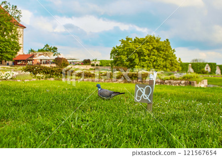 A do not walk sign is installed on the lawn. 121567654