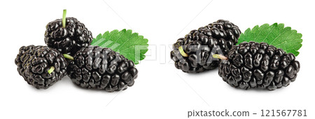 Mulberry with leaf isolated on white background Mulberry with leaf isolated on white background 121567781