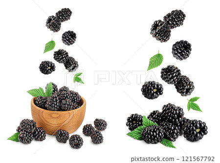 blackberry in wooden bowl with leaf isolated on a white background closeup 121567792