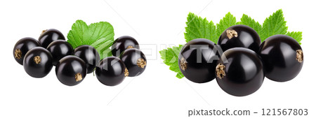 black currant with leaves isolated on white background  with full depth of field 121567803