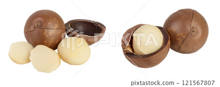 macadamia nuts isolated on white background  with full depth of field 121567807
