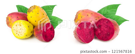 yellow and red prickly pear or opuntia isolated on a white background yellow and red prickly pear or opuntia isolated on a white background 121567816