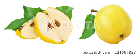 Fresh cut quince isolated on the white background  with full depth of field 121567828
