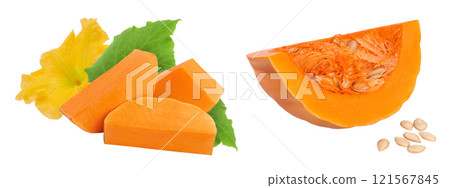 butternut squash slice isolated on white background with full depth of field butternut squash slice isolated on white background with full depth of field 121567845