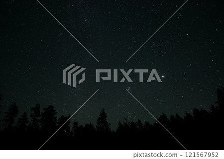 Stars twinkle brightly over a dark forest at night in a remote location 121567952