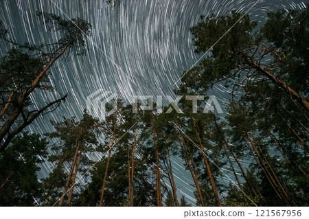 Starlit sky viewed from a forest clearing showcasing star trails and towering pine trees during the night 121567956