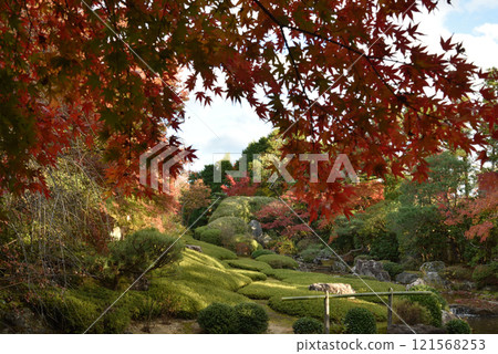 Myoshinji Temple subtemple Taizoin Garden Yokoen Autumn 121568253