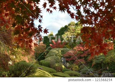 大本山妙心寺、泰藏院、羊光園、秋天 121568254
