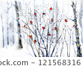 Winter  snowy forest background.. Watercolor illustration. 121568316